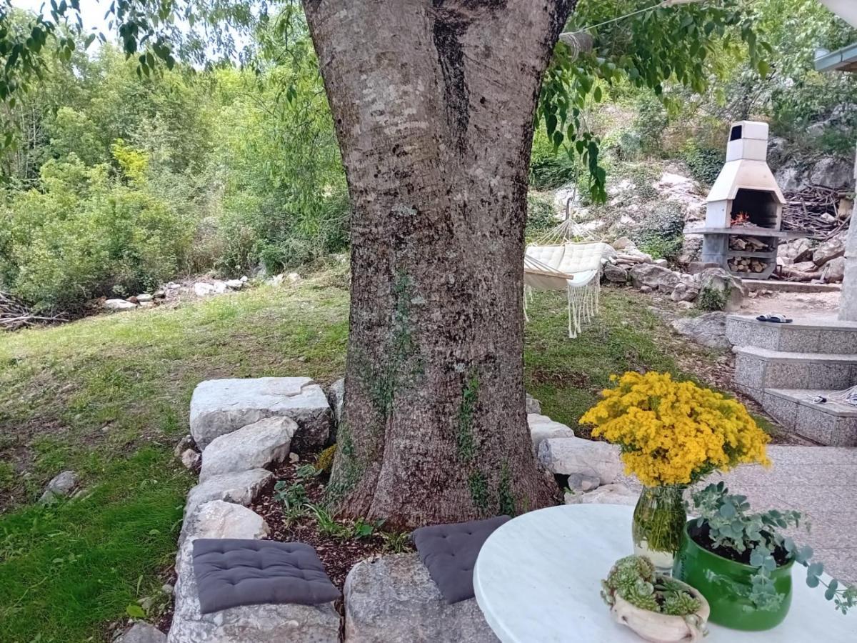 Holiday Home Mimara Korusce Εξωτερικό φωτογραφία